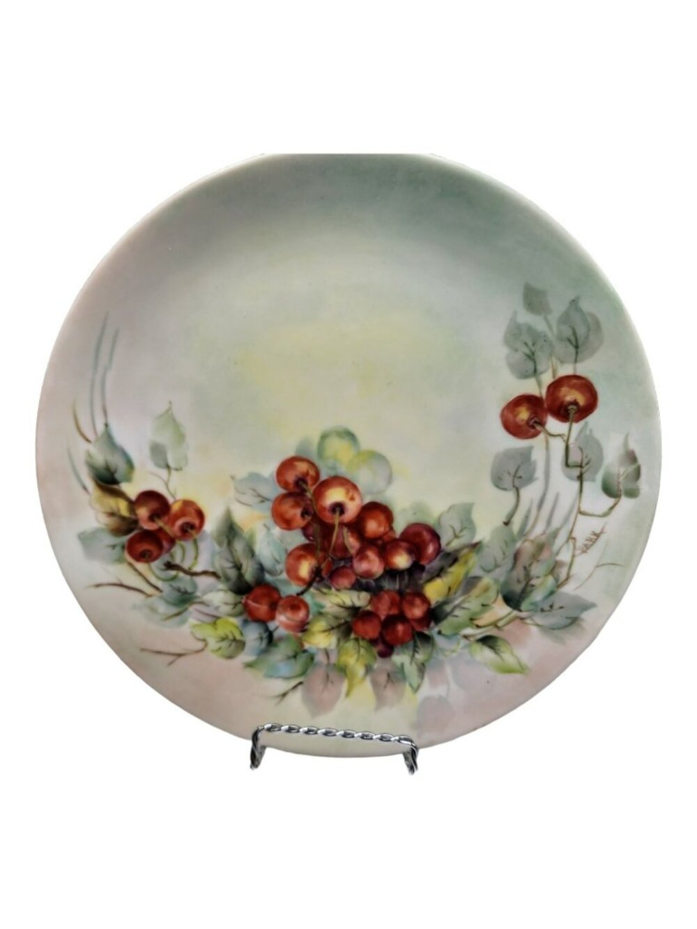 Vtg Arzberg Western Germany Hand Painted Cabinet Plate Cherries 10" Signed Park